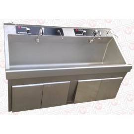 Amsco Flexmatic 2-bay Scrub Sink
