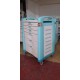 Lionville Emergency Cart